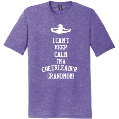 Unisex Perfect Tri Tee