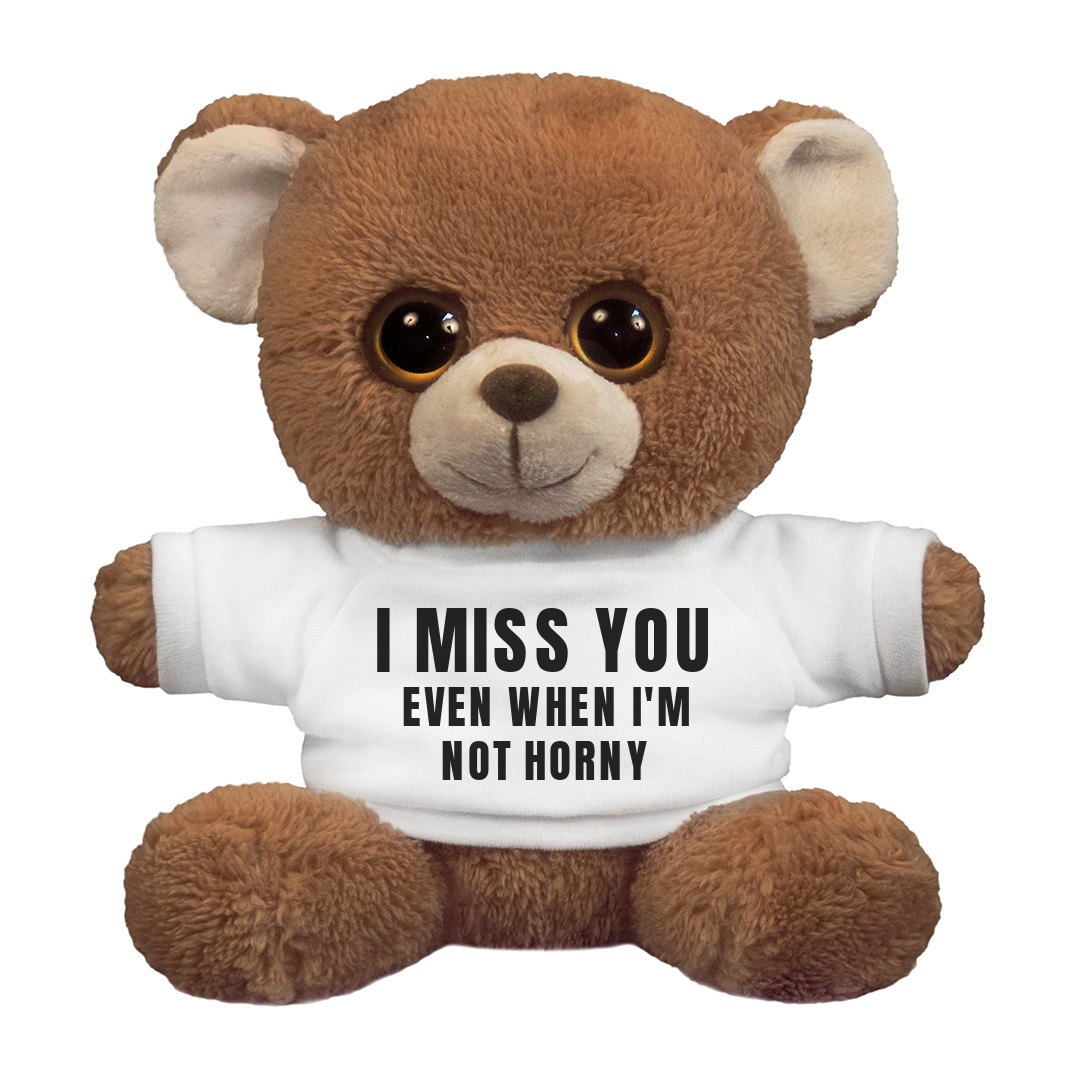 Funny I Miss You Bear  Inch Oogles Brown Bear Stuffed Animal |  FunnyShirts