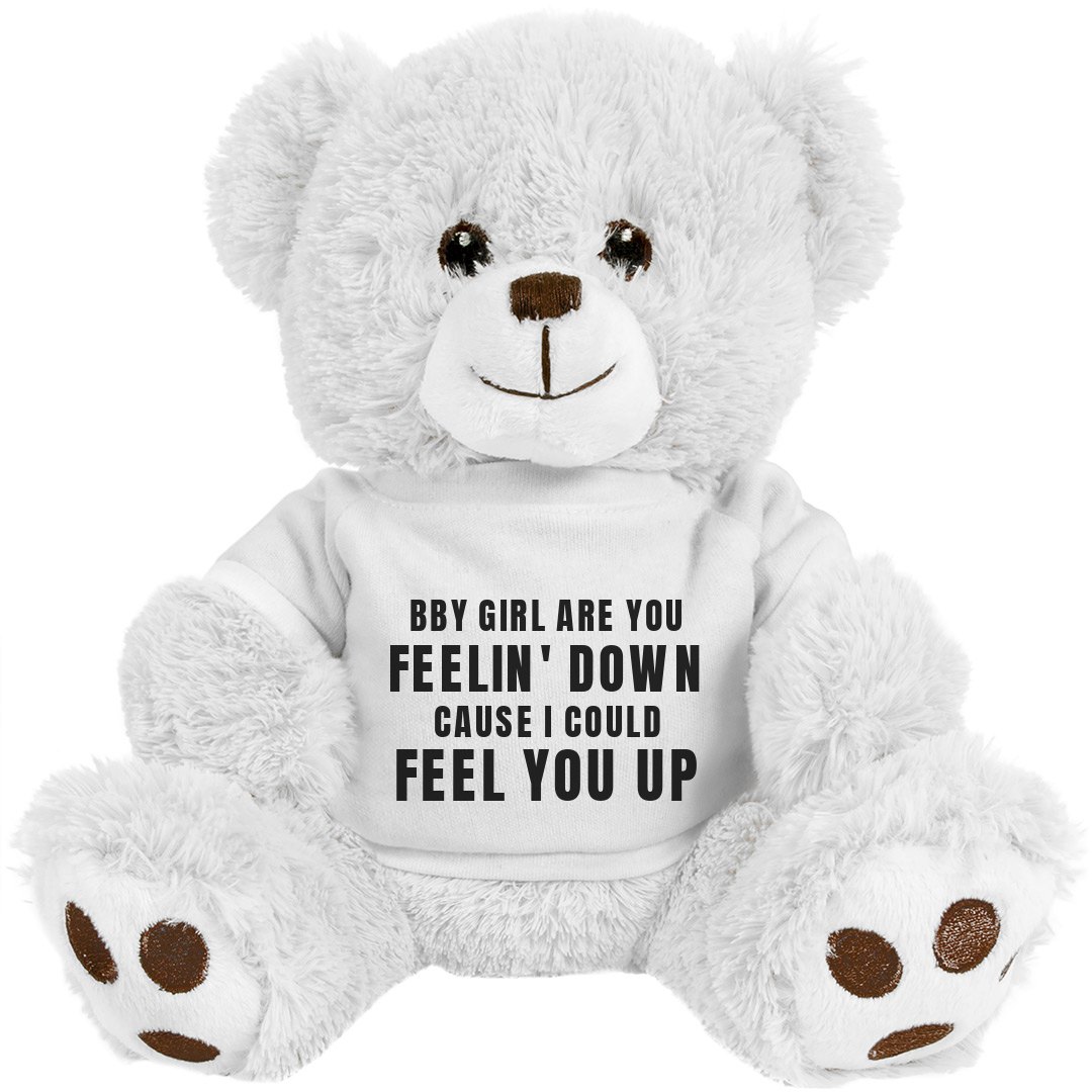 Funny Pick Up Lines Gift Bear - 10 Inch Teddy Bear Stuffed Animal |  FunnyShirts