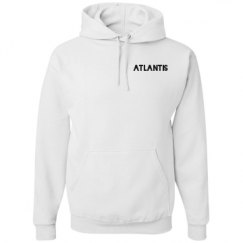 Unisex Basic Promo Hoodie